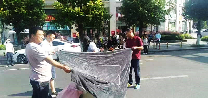 點(diǎn)贊｜烈日下行人被撞倒地，熱心公交人全程守護(hù)